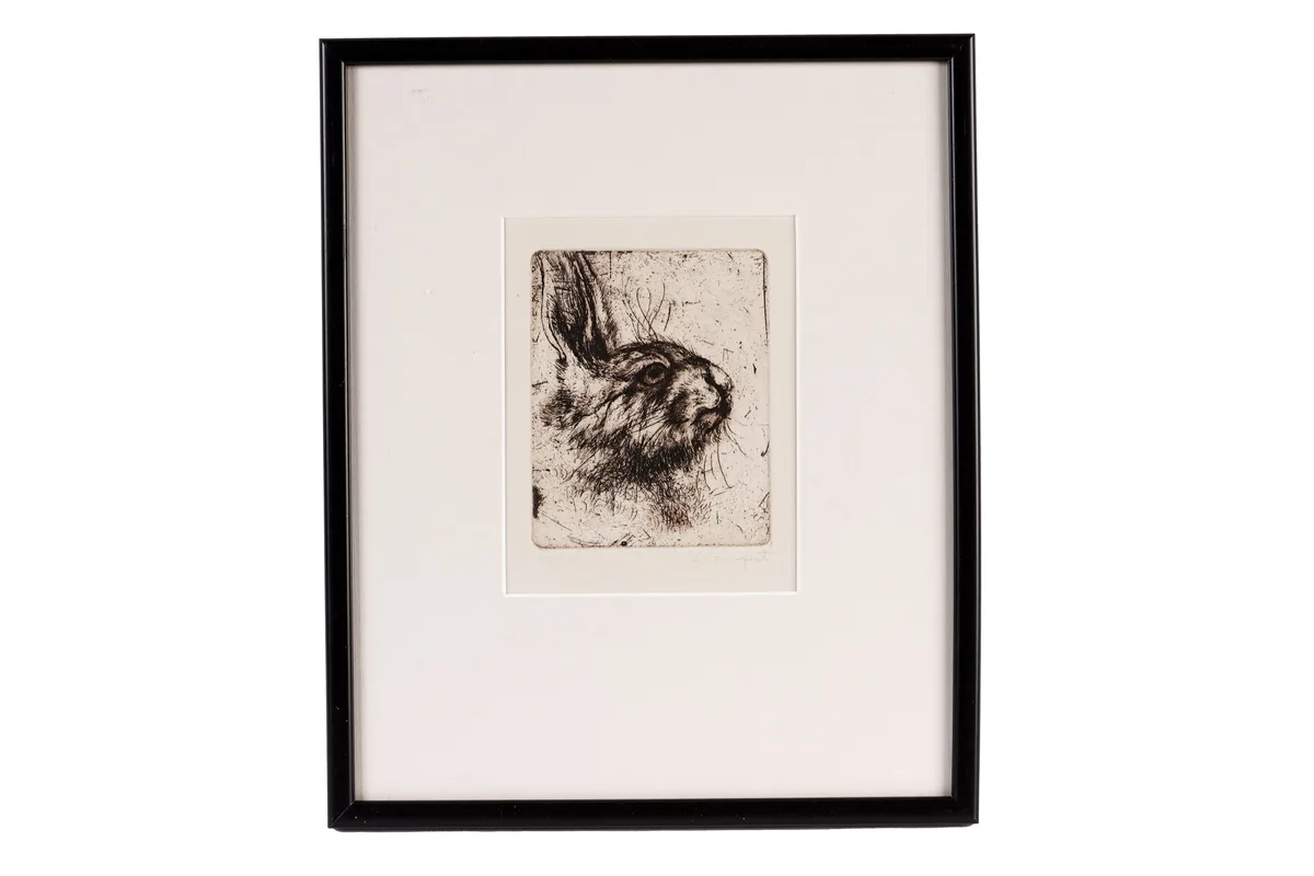 Bridget Tempest, Hare's Head, limited edition etching, 32/100