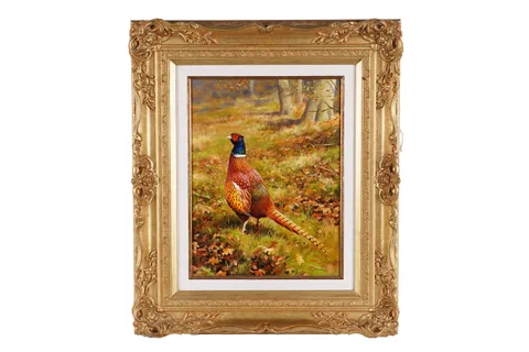 Rodger McPhail, Pheasant, oil on board