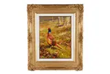 Rodger McPhail, Pheasant