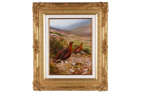 Rodger McPhail, Two Grouse, oil on board