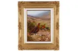 Rodger McPhail, Two Grouse