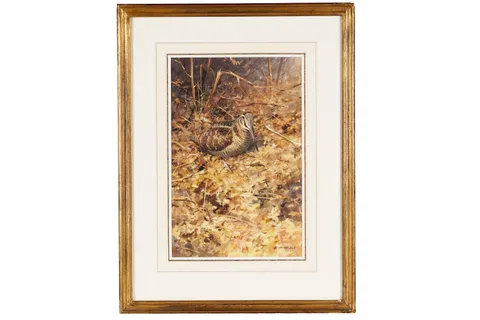 Rodger McPhail, Autumn Woodcock, watercolour