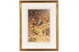 Rodger McPhail, Autumn Woodcock