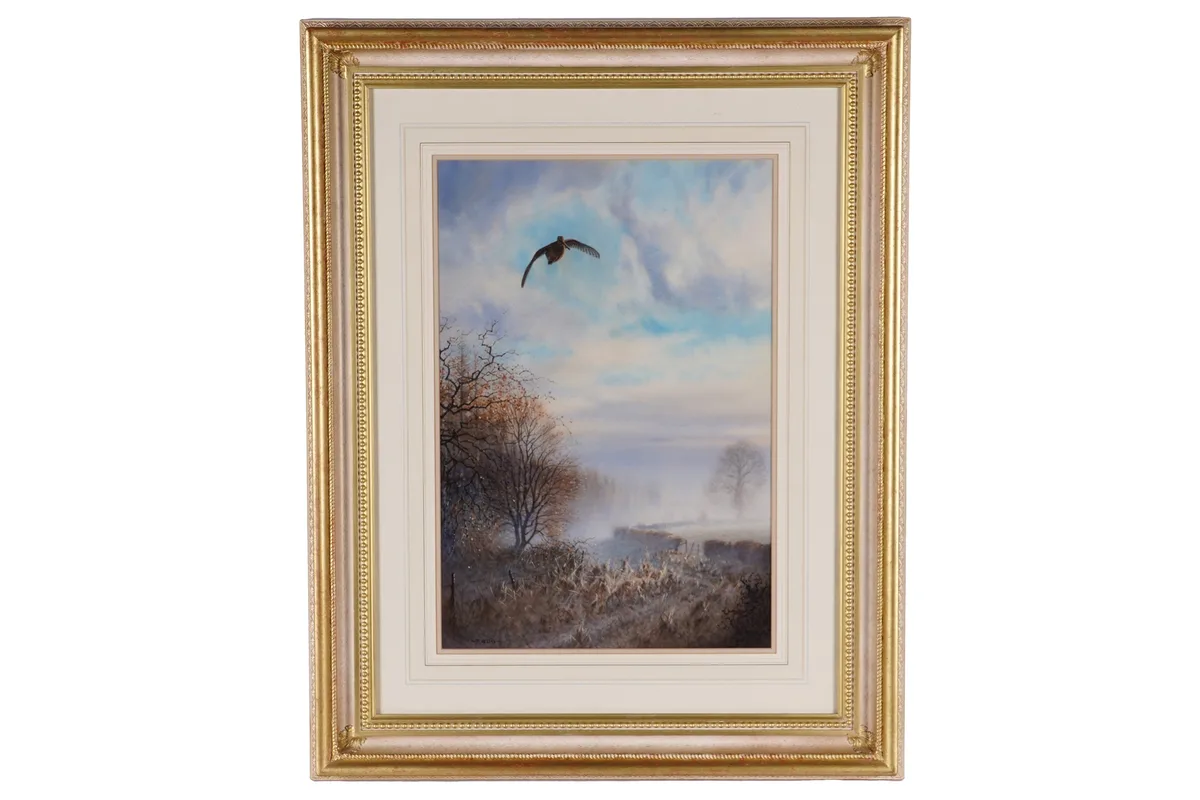 Peter Allis, A woodcock in flight above the mist, watercolour