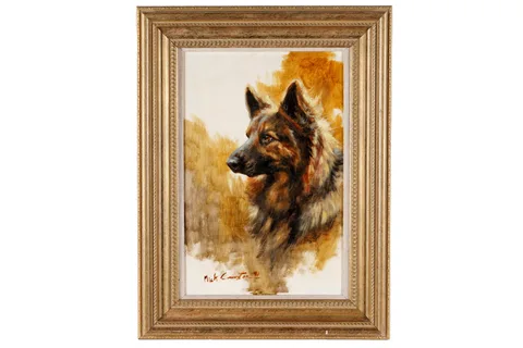 Mick Cawston, Long Haired German Shepherd, oil on board