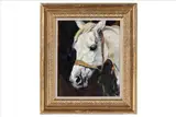 Malcolm Coward, Study of a cremello horse head