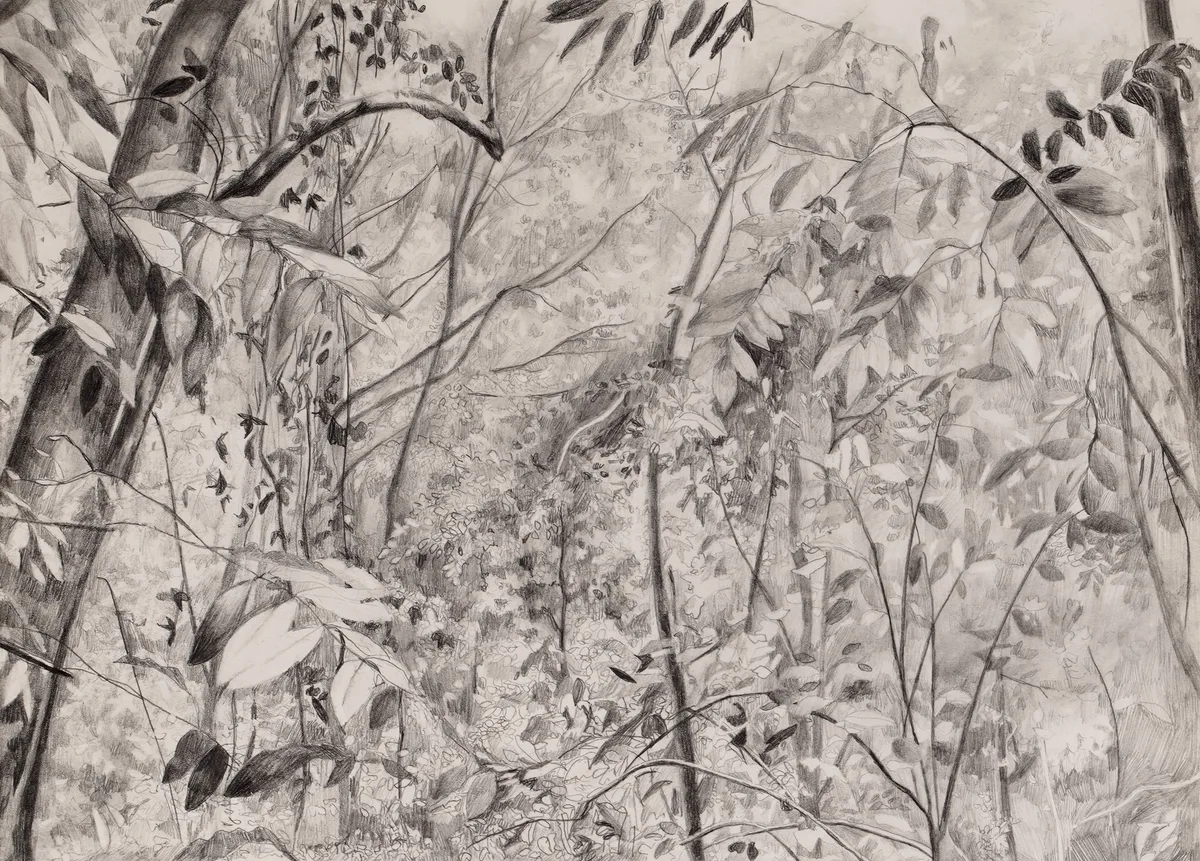 Untitled by Jen Maidment, pencil drawing, sold Apr 2026