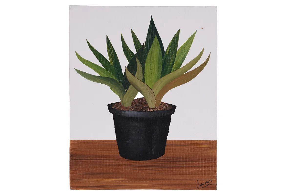 Jake Mullins, Potted Plant, acrylic on board