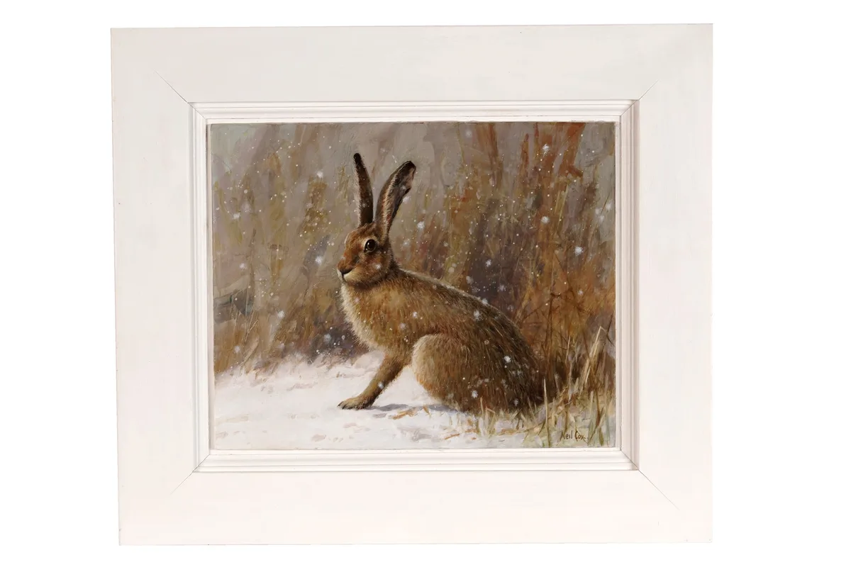 Neil Cox, Hare in the snow, oil on board