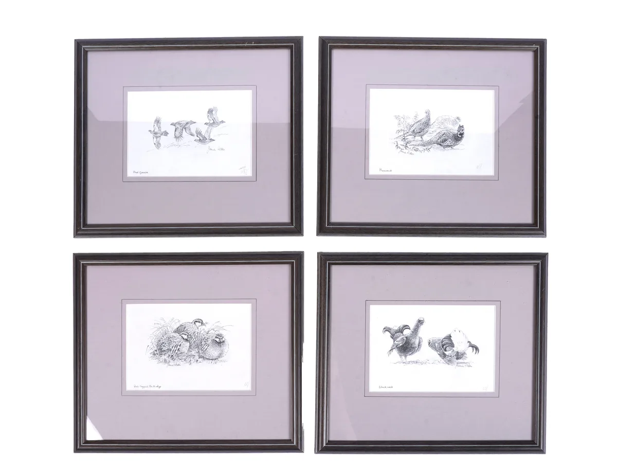 James Alder, Four sketches of Game birds, pencil on paper