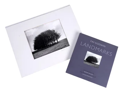 Fay Godwin, Barbury Castle Clump, Spring, gelatin silver print