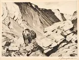 Carl Rungius, Old Bald Face, drypoint on laid paper