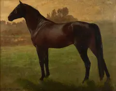Gutzon Borglum, A Dark Bay Horse, oil on canvas