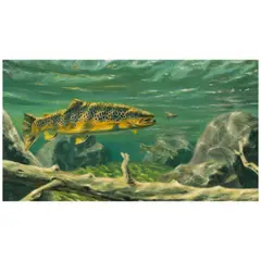 Mike Stidham, Rainbows of Spring Creek, oil on Masonite