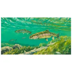 Mike Stidham, Madison River Brown Trout, oil on Masonite