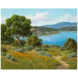 David Chapple, Morning Light, oil on linen mounted to board