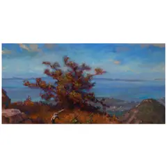 John Comer, Santa Cruz Island, oil on canvas