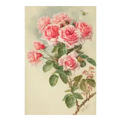 Paul de Longpré, Pink Roses with Two Bees, watercolor and pencil on paper