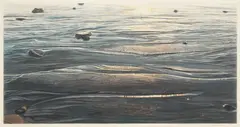 Louis LaBrie, Gaviota, Prismacolor pencil on paper