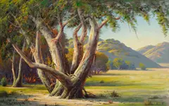 Stately Eucalyptus by Paul Grimm, oil on canvas, offered Apr 2025