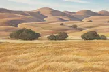 Ray Strong, Golden Hills, oil on Masonite