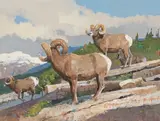 Bob Kuhn, Gathering of Rams, acrylic on Masonite