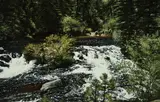 Craig Tennant, Dark River Shadows, oil on canvas