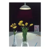 Paul Wonner, Study for Still Life with Tulips Under a Light