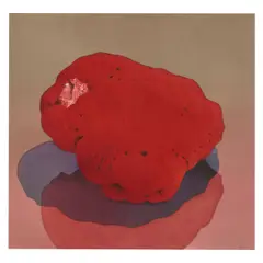 Mark Adams, Organ Pipe Coral, 1985-89, watercolor on paper