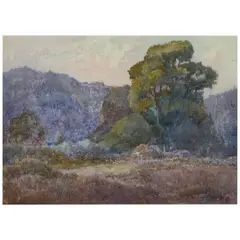Albert Thomas Derome, Mt. Montgomery, Caribou Dr., Redwood Creek, Orick and Asilomar Dunes (group of four)