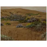Theodore Wores, Sand Dunes and Lupine, oil on paper laid to board