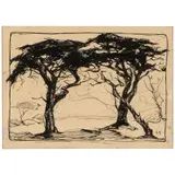 Armin Carl Hansen, Tree Study, ink on paper