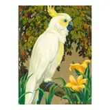 Jessie Arms Botke, Citron Crested Cockatoo (Looking Right), oil and gold leaf on canvas laid to board