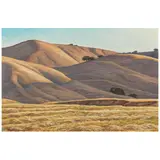 Ray Strong, Golden Hillside, oil on Masonite