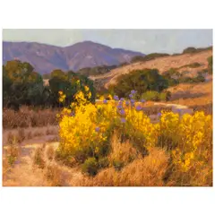 Dennis M. Doheny, Gaviota Mustard, oil on linen