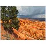 John Dennis Cogan, Afternoon Storm at Bryce Canyon, acrylic on canvas