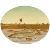 John Wilde, Still-Life with Smelts, 1952, oil on board