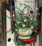 William Victor Higgins, Petunias