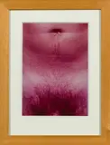 Mattias Hermann, Sans titres (M74 + M 79), 1995