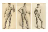 Anonyme, Sans titre, Charcoals on paper