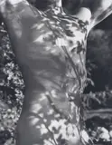 Bruce Weber, Tyke, Adirondack Park