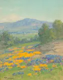 William Franklin Jackson, Poppies and Lupine in Bloom