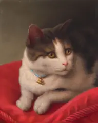 Hannah Brown Skeele, Portrait of Cat on Red Pillow, oil on canvasboard