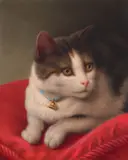 Hannah Brown Skeele, Portrait of Cat on Red Pillow, oil on canvasboard