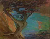 Mary DeNeale Morgan, Black Cypress, oil on canvas