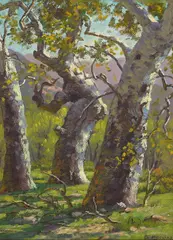 Sycamore Grove and Sycamore Tree (a group of two) by Paul Grimm, sold Dec 2024