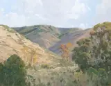 Elizabeth 'Libby' Tolley, California Natural, oil on canvasboard