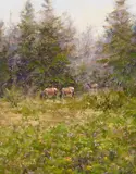 Eric Michaels, Roosevelt Elk, oil on Masonite
