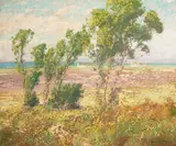 Maurice Braun, A View Toward the San Diego Coast, oil on canvas