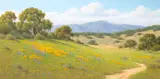 David Chapple, Valley Foothill, oil on linen laid to board